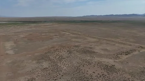 Mongolia: Ancient irrigation system found in Mongolia sheds new light on ... Stock Footage 340834215