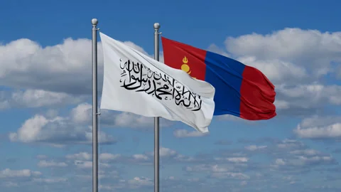 Mongolia and Afghanistan two flags Stock Footage 287933245