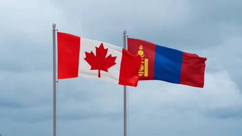 Mongolia and Canada flag Video stock 252024816