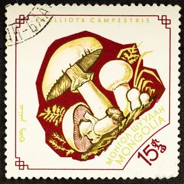 MONGOLIA - CIRCA 1964: Postage stamp issued in Mongolia with the image of Cha Stock Photos