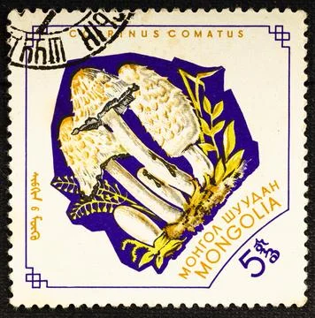 MONGOLIA - CIRCA 1964: Postage stamp issued in Mongolia with the image of Sha Stock Photos