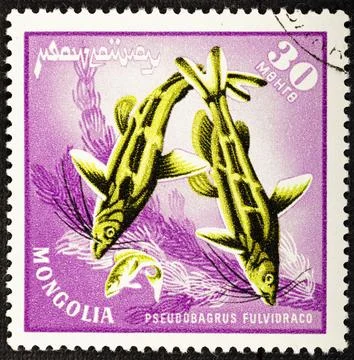 MONGOLIA - CIRCA 1965: Postage stamp issued in Mongolia with the image of the Stock Photos