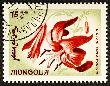 MONGOLIA - CIRCA 1966: Postage stamp issued in Mongolia with the image of Lil Stock Photos