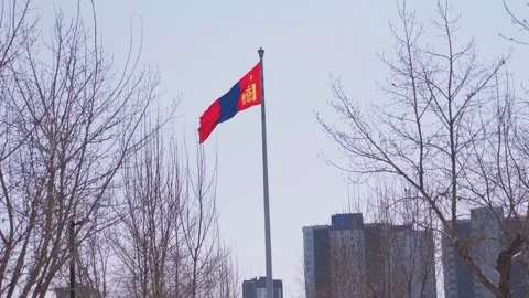 Mongolia flag waving on sundown sky Stock Footage 310488745