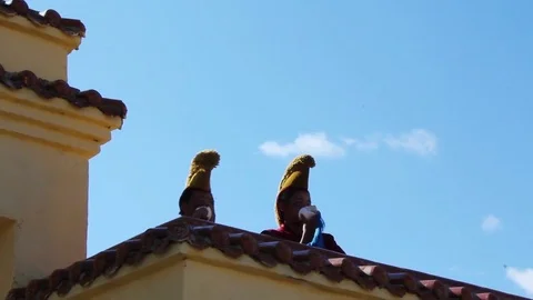 Mongolia Stock Footage 85343254