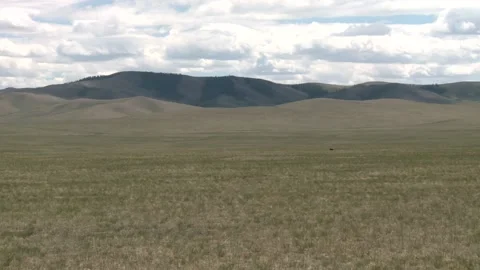 Mongolia Stock Footage 136472112