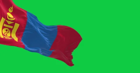 Mongolia national flag waving in the wind isolated on green background Stock Footage 337949830