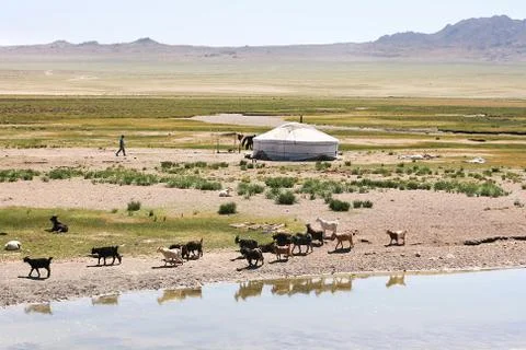 Mongolia Stock Photos