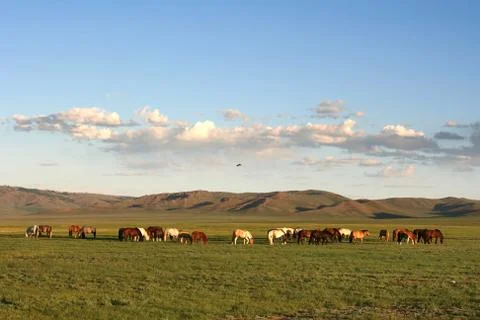 Mongolia Stock-Fotos