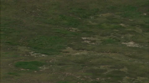 Mongolia Plains Lake Stock Footage 41614941