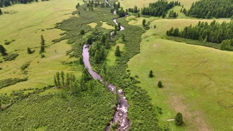 Mongolia River Valley Steppe Forest Green Hills Drone 4k Vídeo Stock 314786518