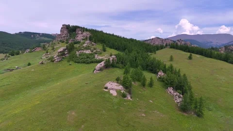 Mongolia River Valley Steppe Forest Green Hills Drone 4k Stock Footage 314786520