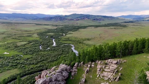 Mongolia River Valley Steppe Forest Green Hills Drone 4k Vídeo Stock 314786776