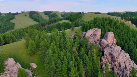 Mongolia River Valley Steppe Forest Green Hills Drone 4k Stock Footage 314786824