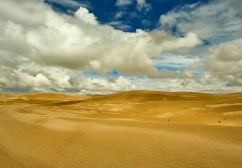 Mongolia. Sands Mongol Els Фото