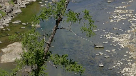 Mongolia. A shallow river, a view from above. Stock Footage 90670018