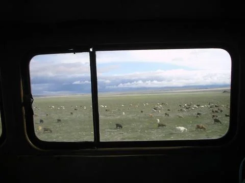 Mongolia through a car window Stock Photos