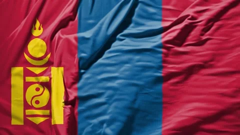 Mongolia waving flag realistic cloth animation Stock Footage 309193291