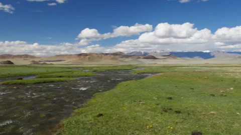 Mongolian Altai. Stock Footage 115781149