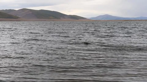 Mongolian Lake on a cloudy autumn evening. Stock Footage 249019761