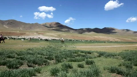 Mongolian landscape Видео 515471
