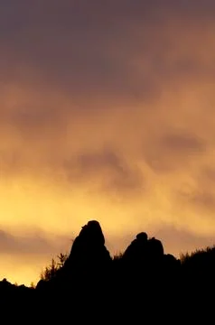 Mongolian landscape Фото