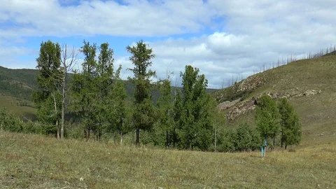 The Mongolian landscape. Trees and mountains. Stock Footage 125992843