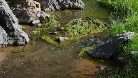 Mongolian mountain stream Stock Footage 88521866