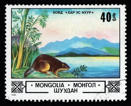 Mongolian postage stamp dedicated to beaver. River inhabitant Stock Photos