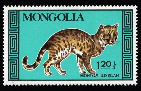 Mongolian postage stamp dedicated to thoroughbred cat. Feline Stock Photos