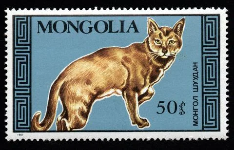 Mongolian postage stamp dedicated to thoroughbred cat. Feline Stock Photos