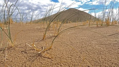 Mongolian Sand Desert 스톡 동영상 99194962