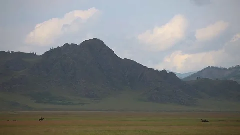 Mongolian shepherd on horseback Stock-Footage 84042187