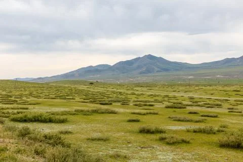 Mongolian steppe on the background of a cloudy sky Stock Photos
