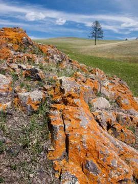 Mongolian steppe Stock Photos