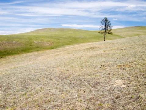 Mongolian steppe Stock Photos