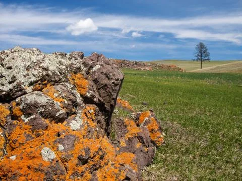 Mongolian steppe Stock Photos