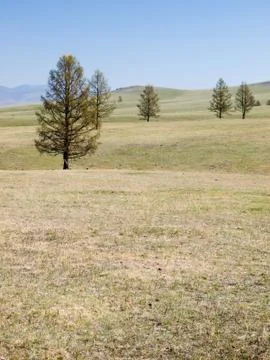 Mongolian steppe Stock Photos