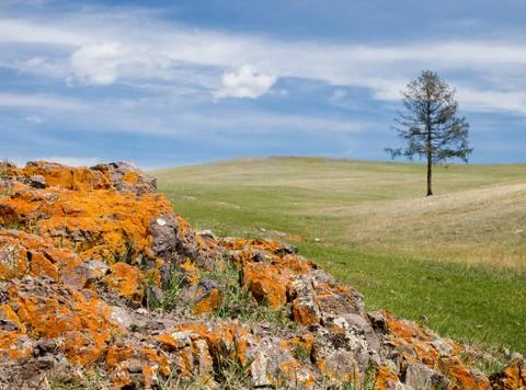 Mongolian steppe Stock Photos