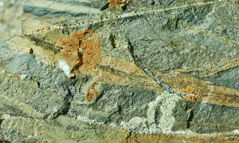 Mongolian Structure of surface of the stone Foto stock
