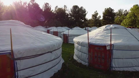 Mongolian tents side by side in a forest Stock Footage 258202564