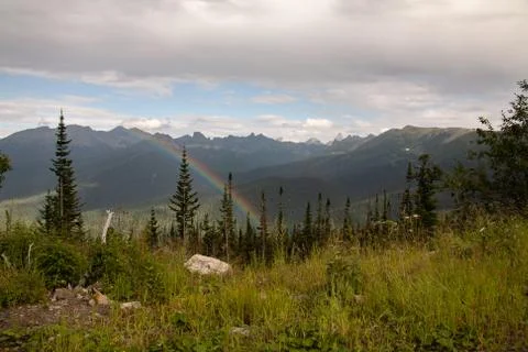 Mongolian valley steppe trees and mountains Stock-Fotos