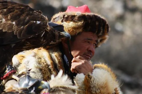 Mongolischer Adler Jäger 库存照片