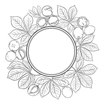 Mongongo Branch Outline Round Frame. Stock Illustration