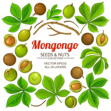 Mongongo elements vector set on white background Stock Illustration