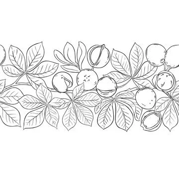 Mongongo Outline Horizontal Seamless Pattern Illustrazione stock