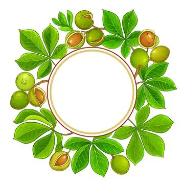 Mongongo vector frame on white background Stock Illustration