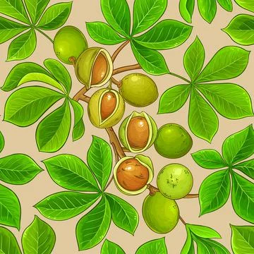 Mongongo vector pattern on color background Stock-Illustration