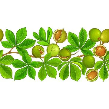 Mongongo vector pattern on white background Stock Illustration