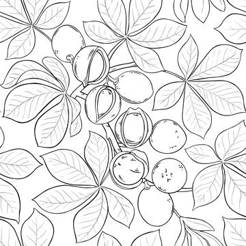 Mongongo vector pattern on white background Stock Illustration